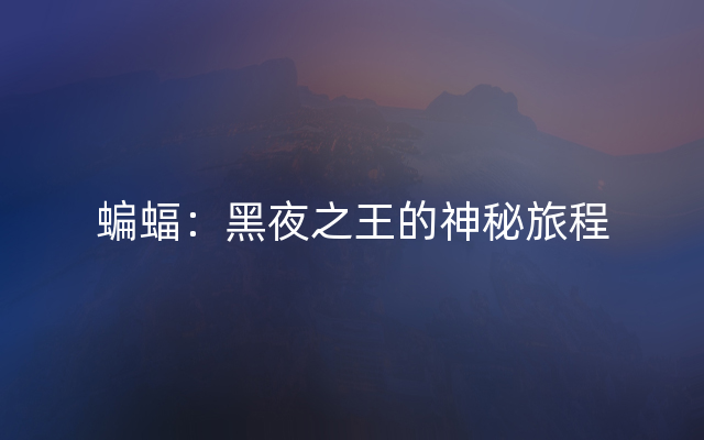 蝙蝠：黑夜之王的神秘旅程