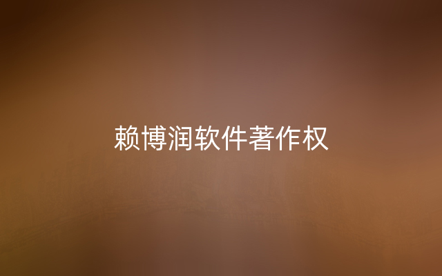 赖博润软件著作权