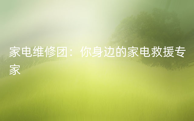 家电维修团：你身边的家电救援专家