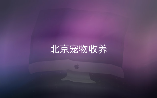北京宠物收养