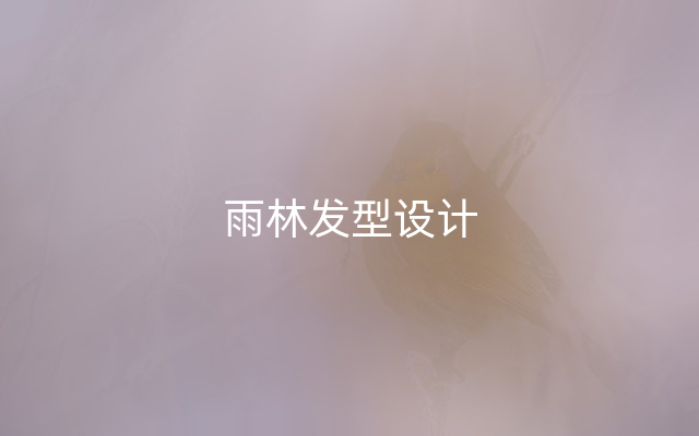 雨林发型设计
