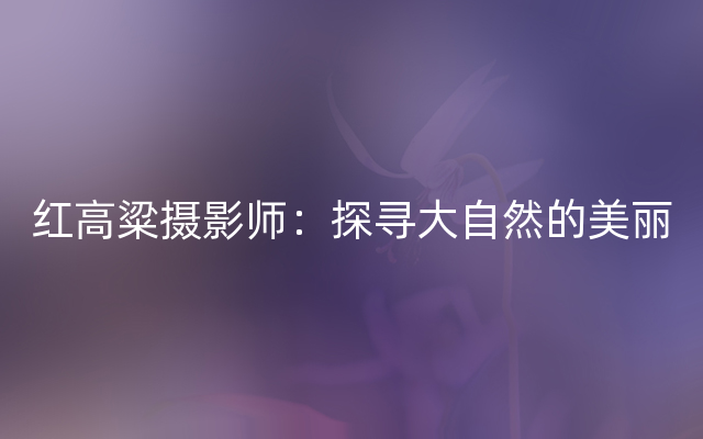 红高粱摄影师：探寻大自然的美丽