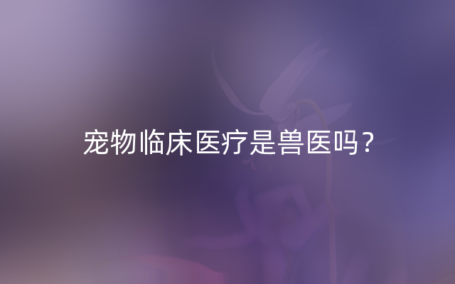 宠物临床医疗是兽医吗？