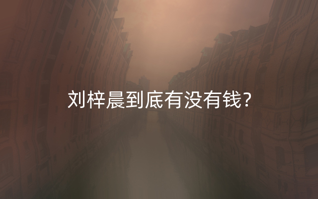 刘梓晨到底有没有钱？