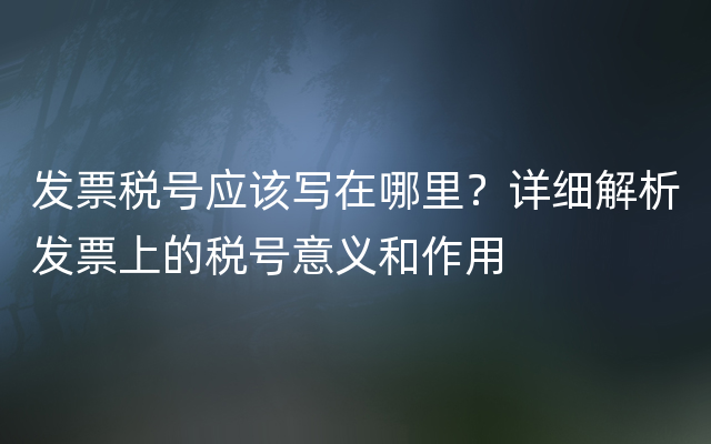 发票税号应该写在哪里？详细解析发票上的税号意义和作用