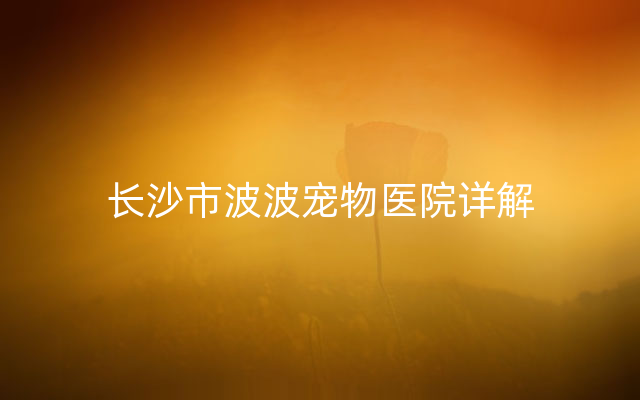 长沙市波波宠物医院详解
