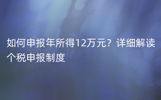 如何申报年所得12万元？详细解读个税申报制度