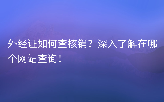 外经证如何查核销？深入了解在哪个网站查询！