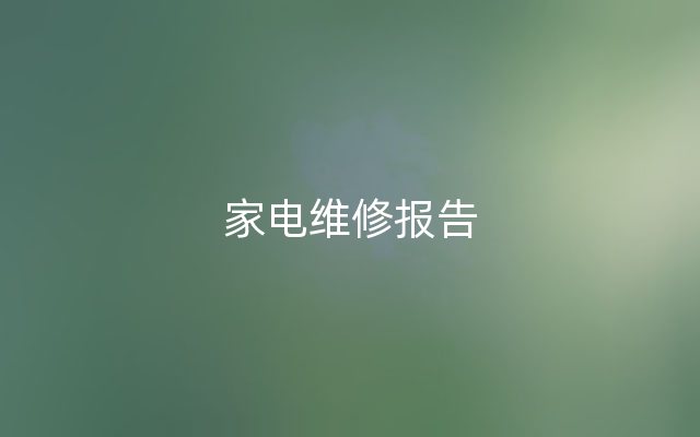 家电维修报告