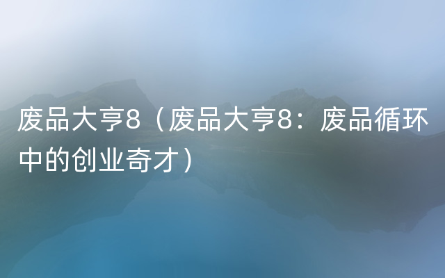 废品大亨8（废品大亨8：废品循环中的创业奇才）