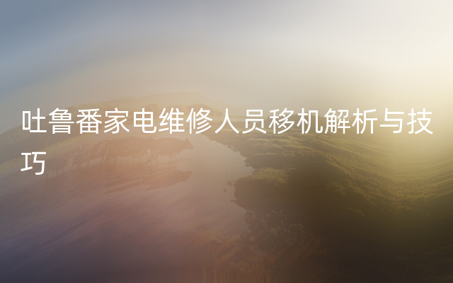 吐鲁番家电维修人员移机解析与技巧