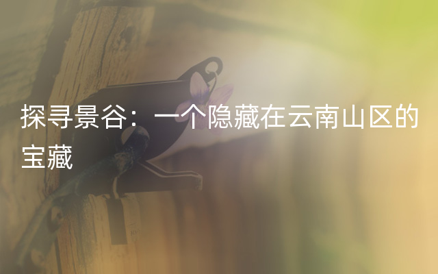 探寻景谷：一个隐藏在云南山区的宝藏