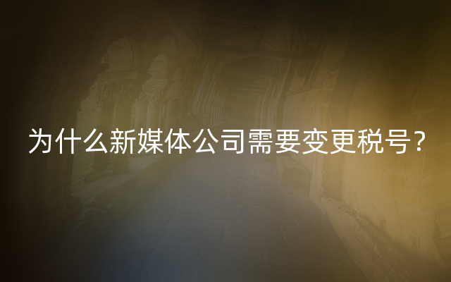 为什么新媒体公司需要变更税号？