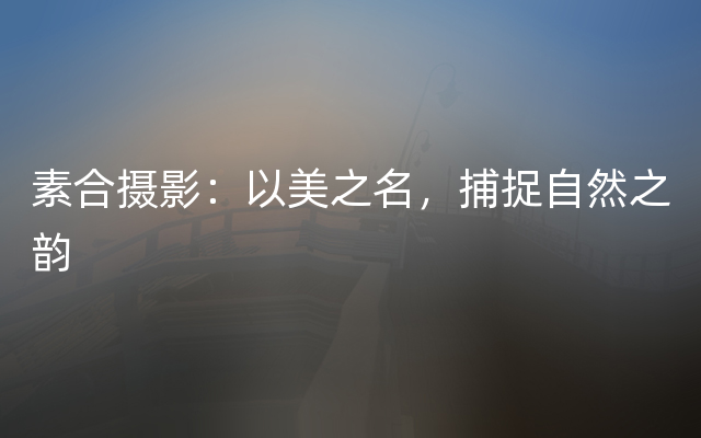 素合摄影：以美之名，捕捉自然之韵
