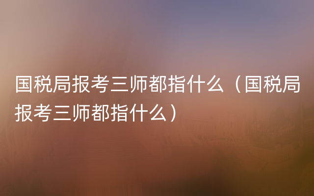 国税局报考三师都指什么（国税局报考三师都指什么）