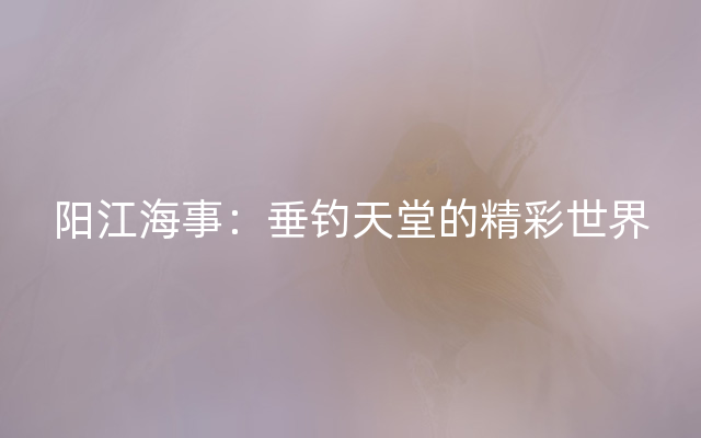 阳江海事：垂钓天堂的精彩世界