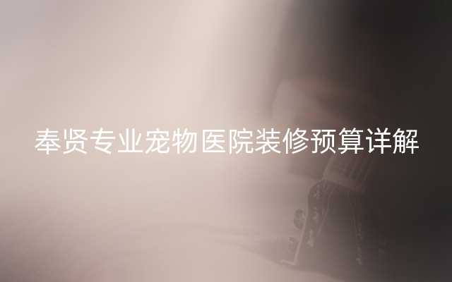 奉贤专业宠物医院装修预算详解
