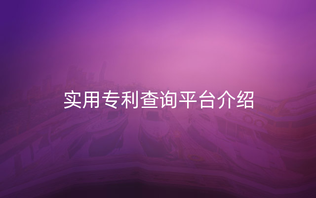 实用专利查询平台介绍