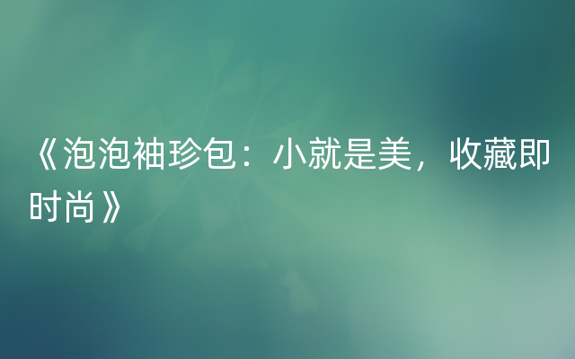 《泡泡袖珍包：小就是美，收藏即时尚》