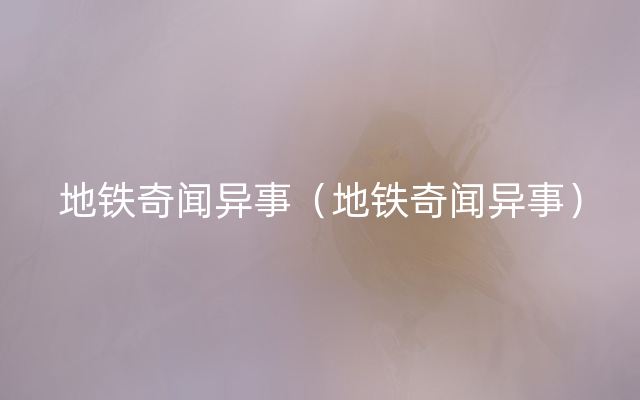 地铁奇闻异事（地铁奇闻异事）