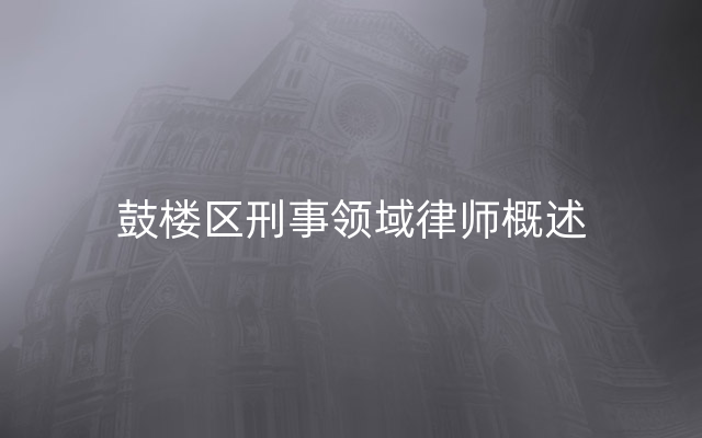 鼓楼区刑事领域律师概述