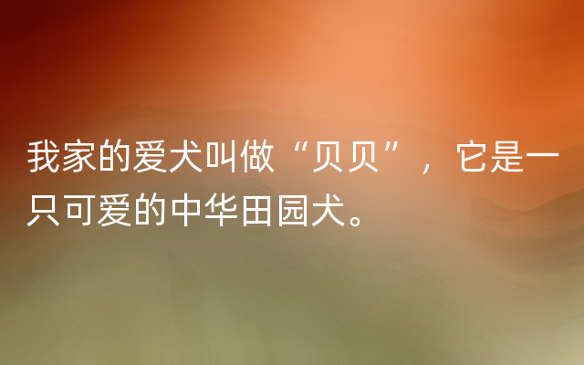 我家的爱犬叫做“贝贝”，它是一只可爱的中华田园犬。