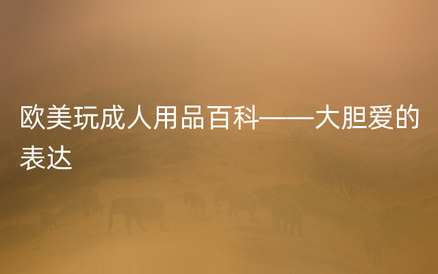 欧美玩成人用品百科——大胆爱的表达