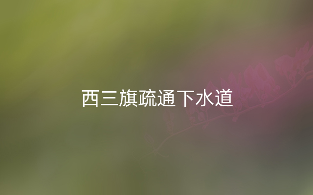 西三旗疏通下水道