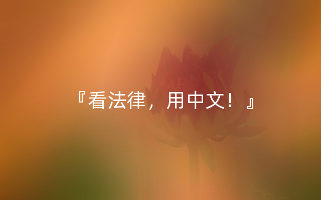 『看法律，用中文！』
