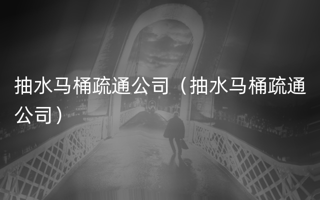 抽水马桶疏通公司（抽水马桶疏通公司）