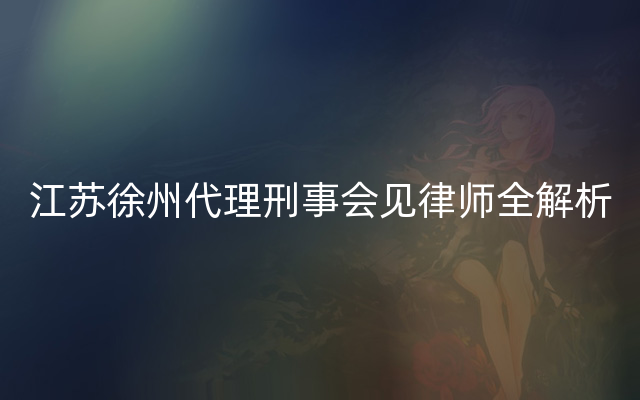 江苏徐州代理刑事会见律师全解析