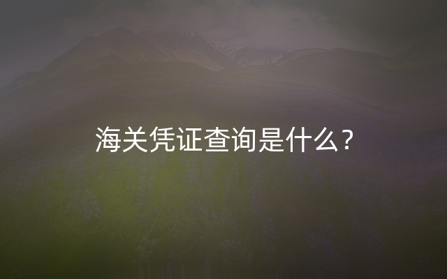 海关凭证查询是什么？
