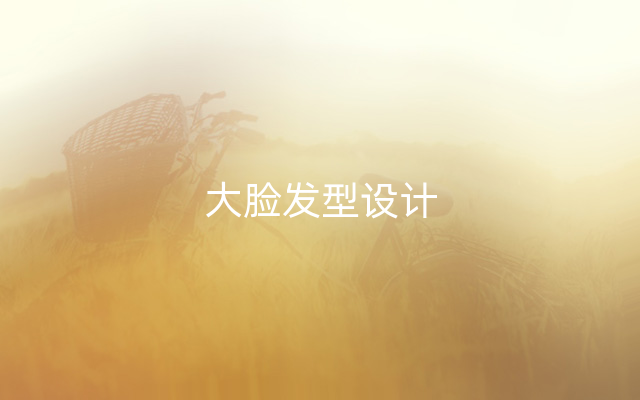 大脸发型设计