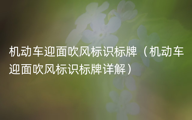 机动车迎面吹风标识标牌（机动车迎面吹风标识标牌详解）