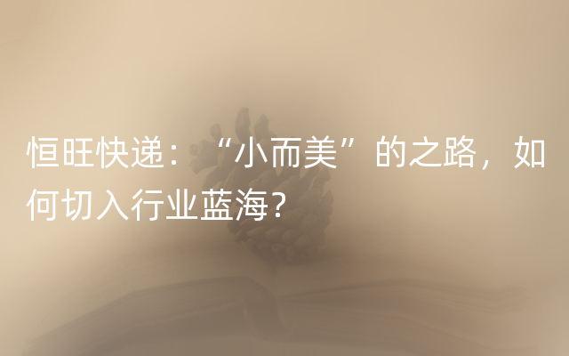 恒旺快递：“小而美”的之路，如何切入行业蓝海？