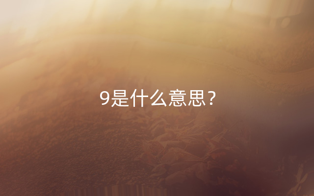 9是什么意思？