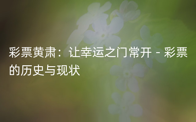 彩票黄肃：让幸运之门常开－彩票的历史与现状