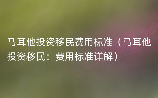 马耳他投资移民费用标准（马耳他投资移民：费用标准详解）