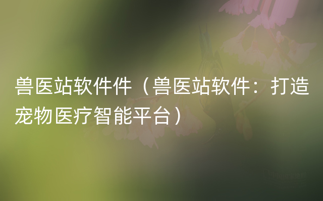 兽医站软件件（兽医站软件：打造宠物医疗智能平台）