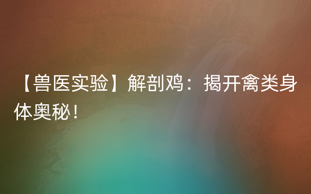 【兽医实验】解剖鸡：揭开禽类身体奥秘！