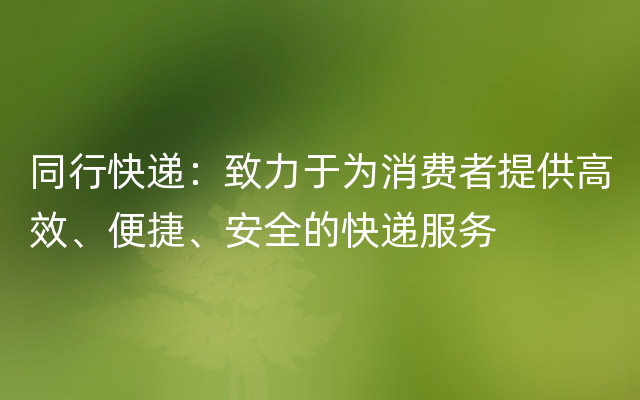 同行快递：致力于为消费者提供高效、便捷、安全的快递服务