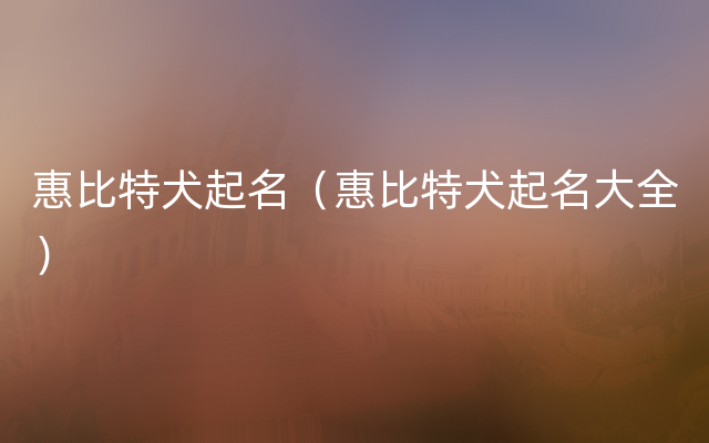 惠比特犬起名（惠比特犬起名大全）
