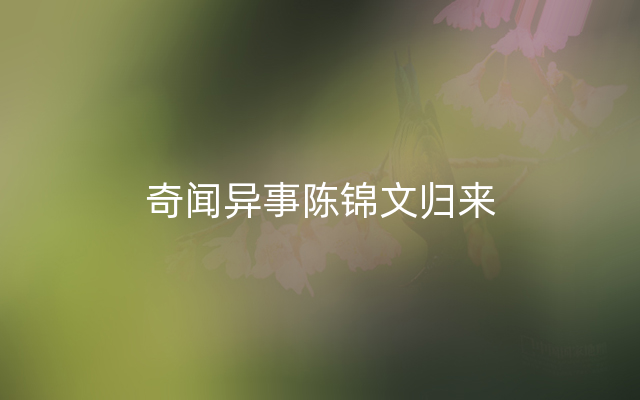 奇闻异事陈锦文归来