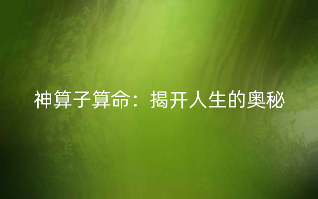 神算子算命：揭开人生的奥秘