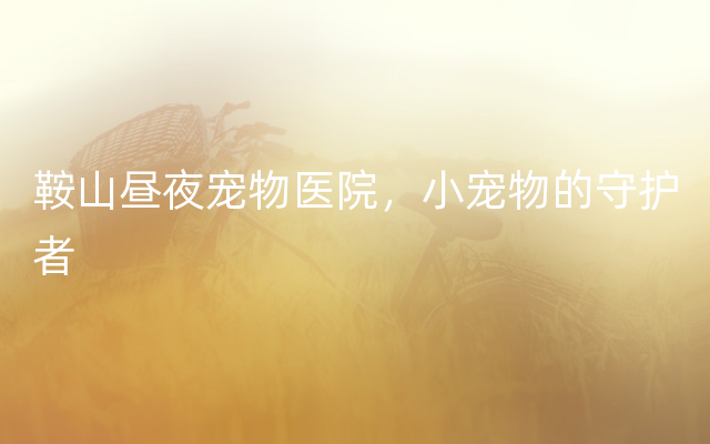 鞍山昼夜宠物医院，小宠物的守护者