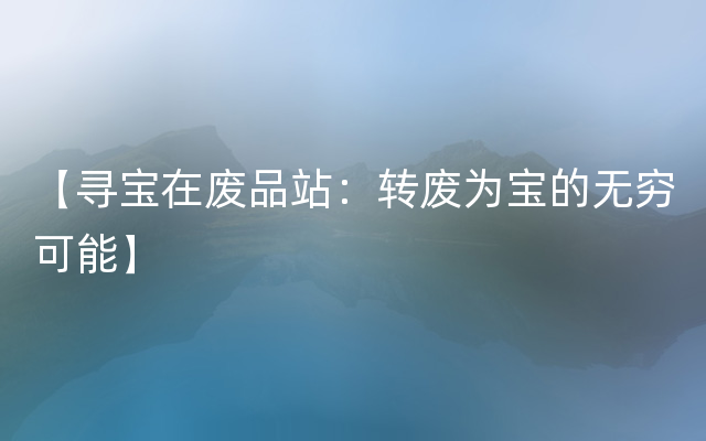 【寻宝在废品站：转废为宝的无穷可能】