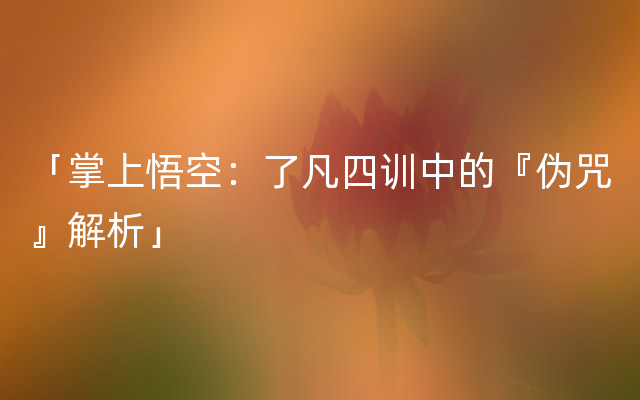 「掌上悟空：了凡四训中的『伪咒』解析」