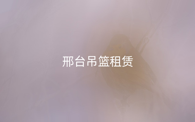 邢台吊篮租赁