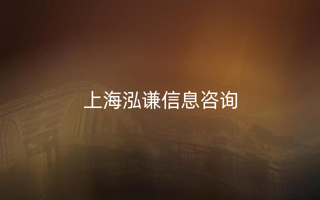 上海泓谦信息咨询