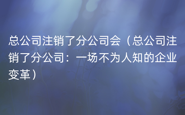 总公司注销了分公司会（总公司注销了分公司：一场